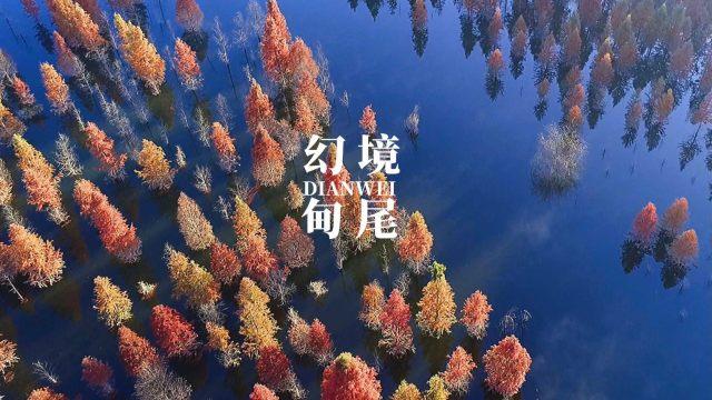 创作猫