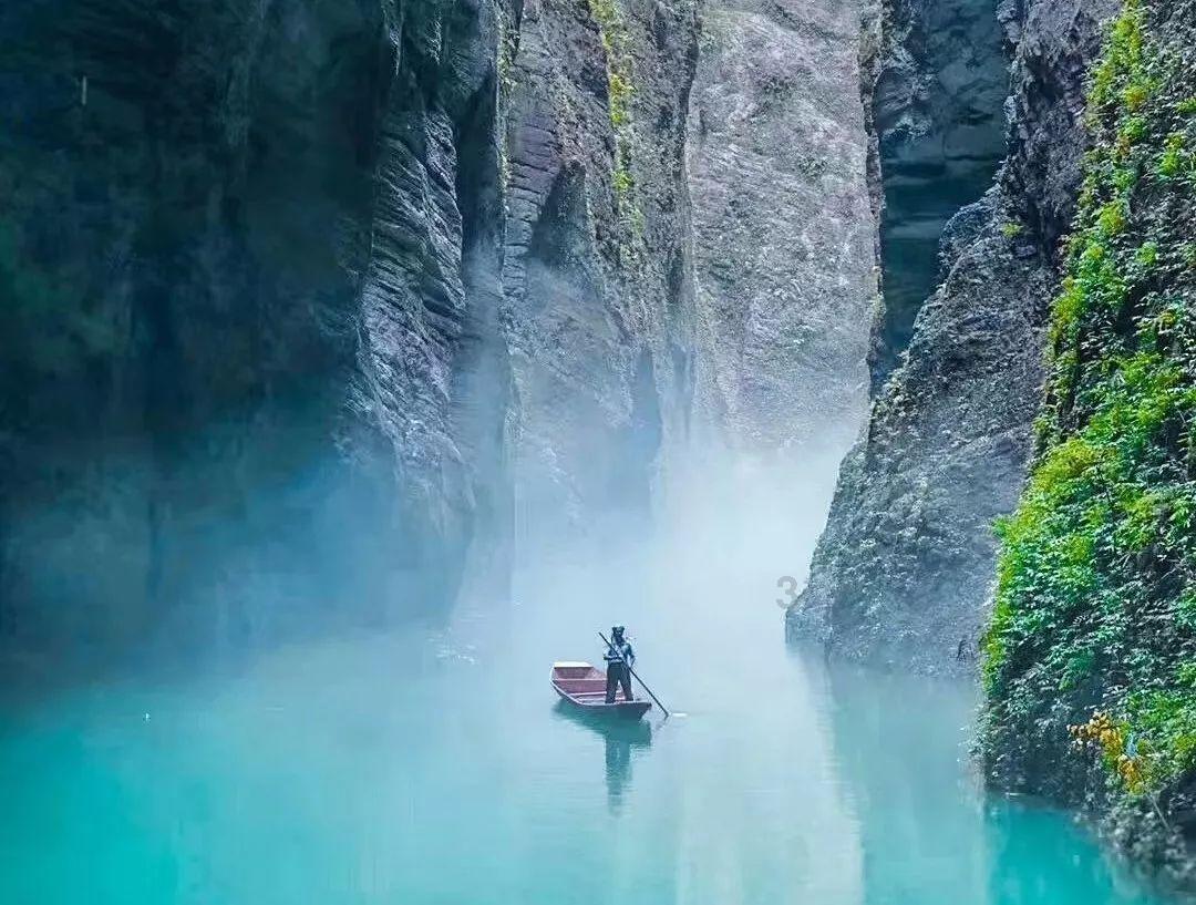 逃离幽灵之林