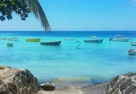 “两会”我关注 充满新期待