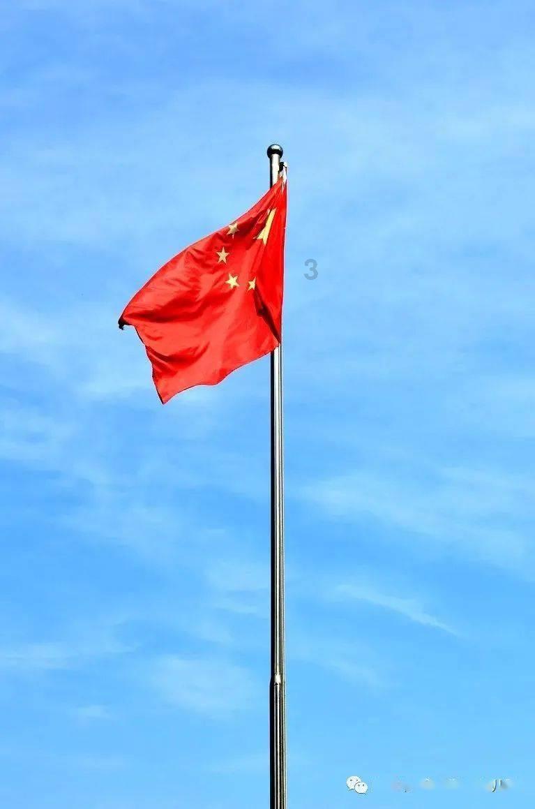 逗小猴开心系列165