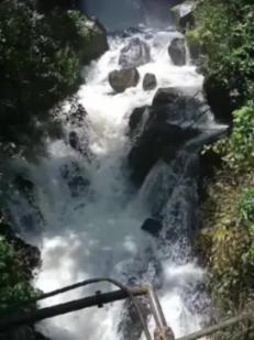 算术24点