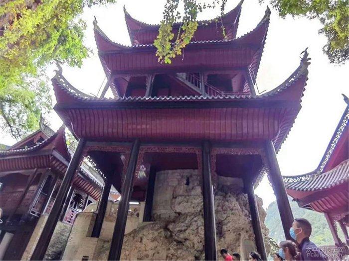 动物帮帮忙保卫家园