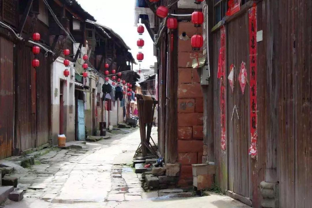 海南省政协委员王丽媛：脚踏实地，结出“甜蜜果”