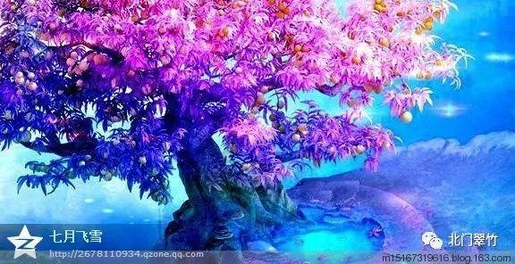 牛仔复仇记
